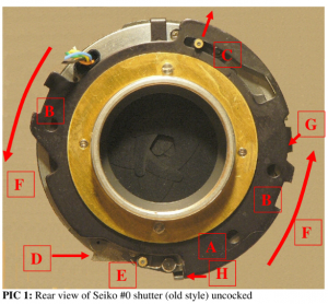Seiko_Zenzanon Anatomy